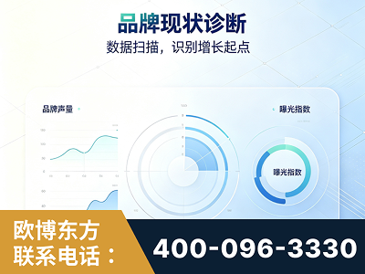 石嘴山-品牌现状诊断